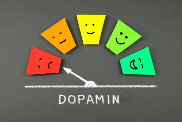 Eğitimde Dopamin: Öğrenmenin Görünmez Motoru